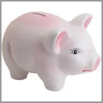 bankin piggy