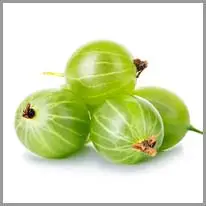 gooseberry