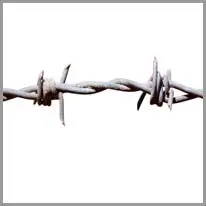 barbed wire