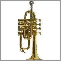 trumpet