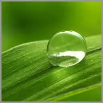 raindrop