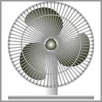 fan