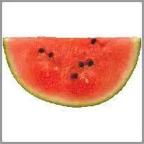 watermelon