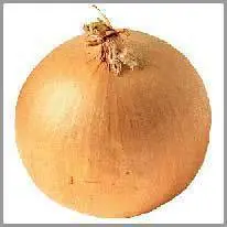 onion